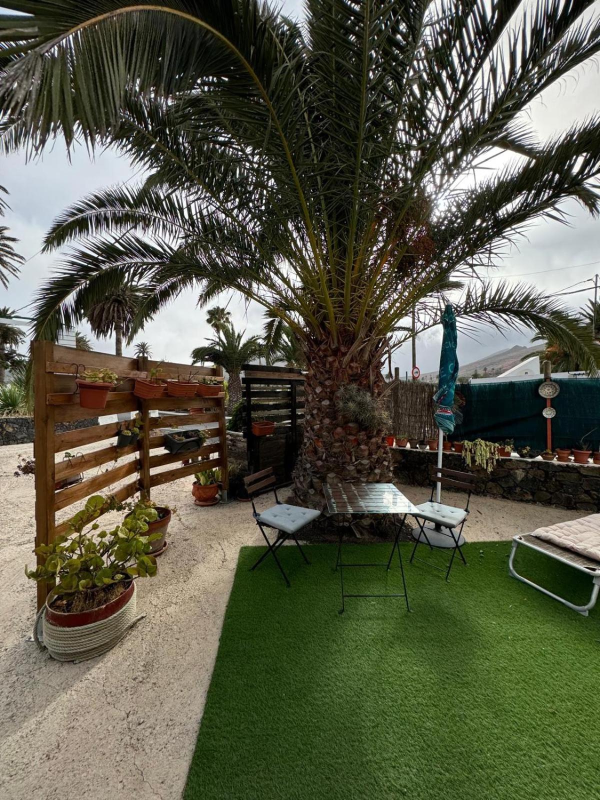 Casa Palmera y Casa Dátil Haría Habitación foto